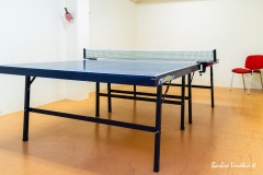 Bordtennis-100