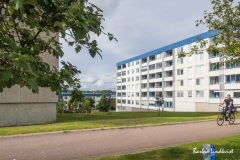 Omrade-100