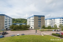 Omrade-102